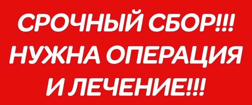 Сборе ваших