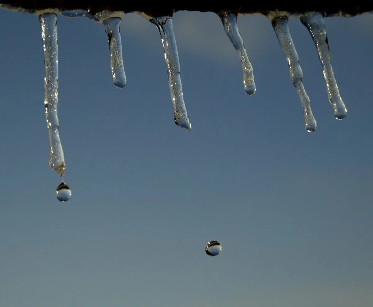 капель. каплет это. капля дождя. весенняя капель. сосульки тают.