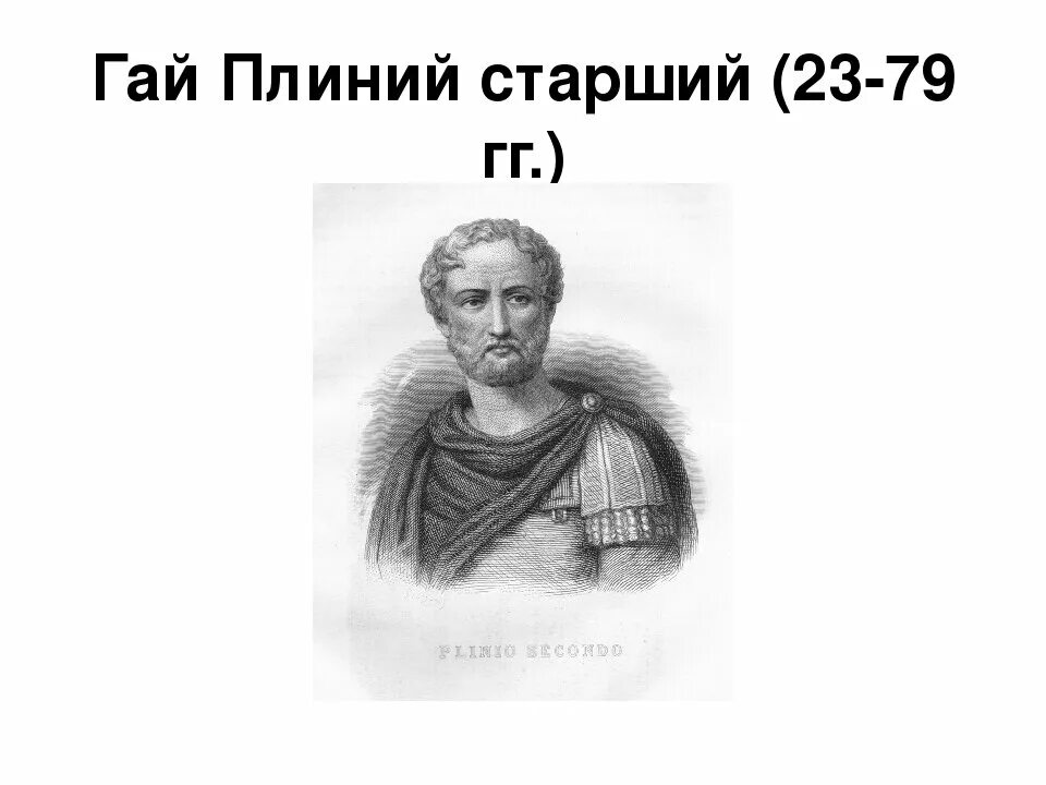 Древнеримский ученый и врач. Римский писатель Плиний старший. Древнеримский историк Плиний- старший. Плиний старший эволюционное учение.