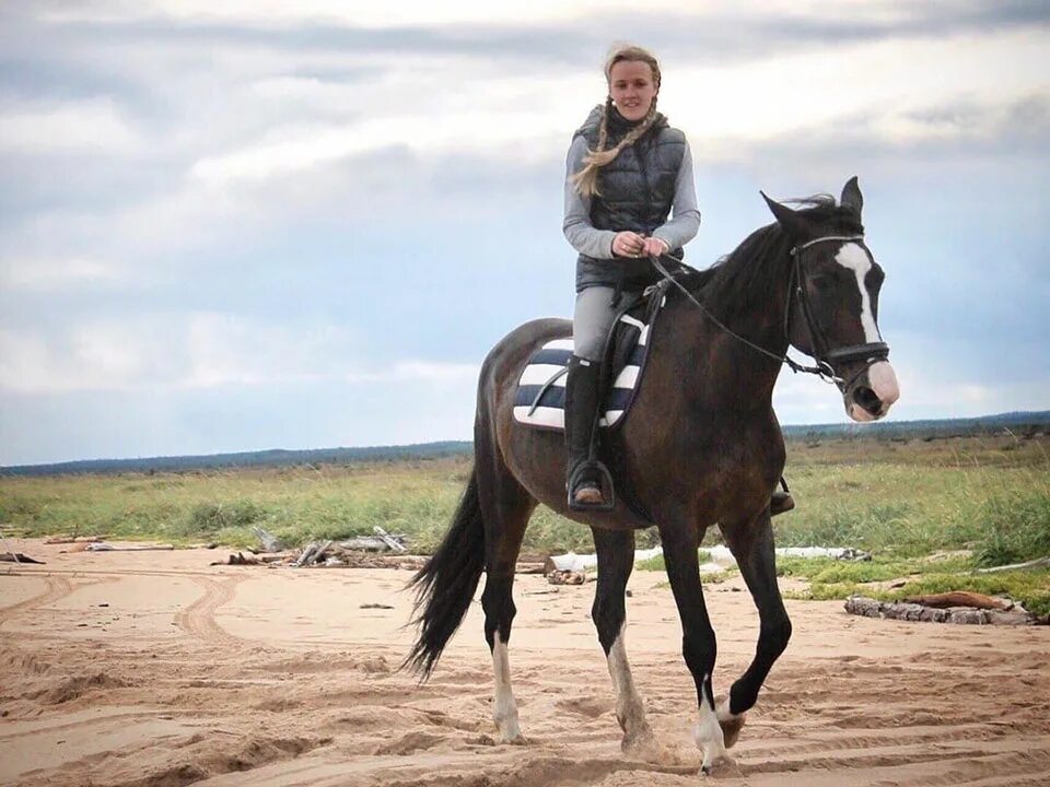 Хорс тревел ростов на дону. Horse travel. Конный клуб horse travel. Прогулка на лошадях. Хорс тревел ростов.