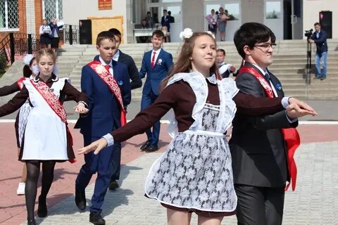 Сетевое образование аликово