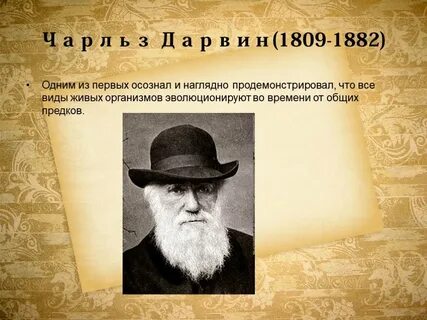 Ч дарвин научная область