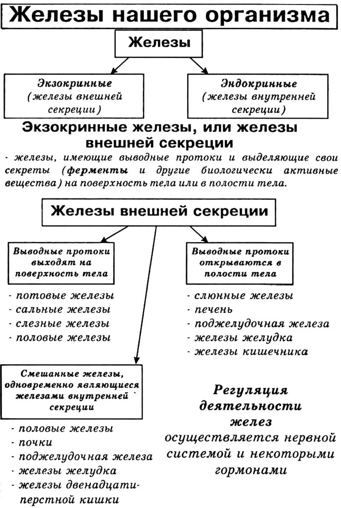 Железы внутренней и внешней секреции таблица. Функции желёз внешней секреции таблица. Железы внешней и внутренней секреции функции таблица. Железы внешней секреции таблица 8 класс биология. Железы биология 9 класс