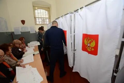 Выборы сизо