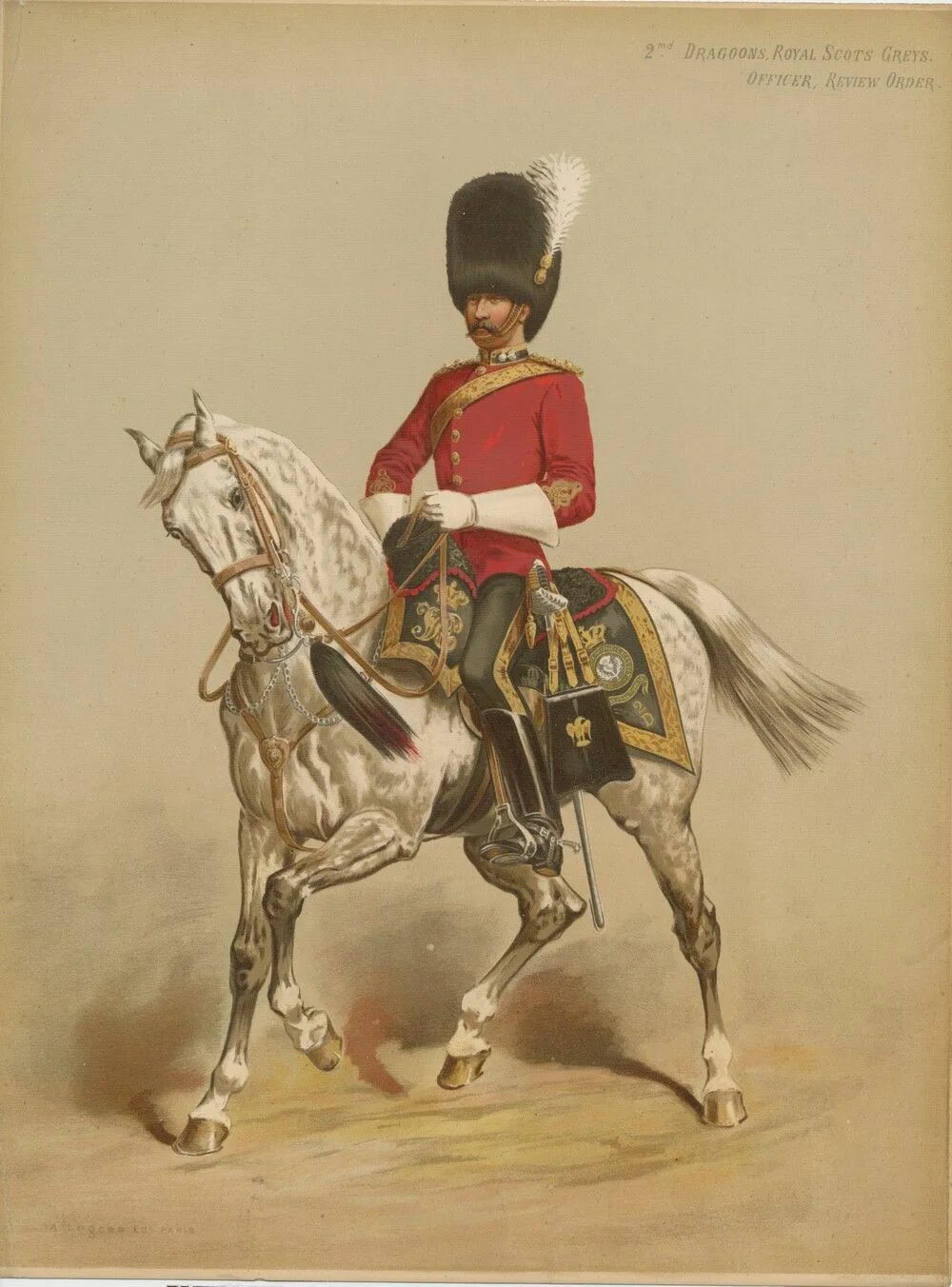 Драгун 2. Форма royal scots greys. 2nd dragoons (royal scots greys),. королевский полк шотландских драгун гвардейских. королевские шотландские драгуны.