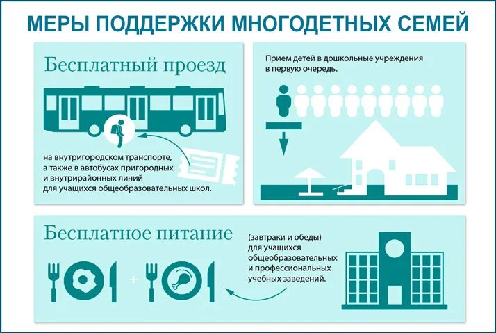 Социальная льгота на проезд. Льготы многодетным. Льготы на проезд. Проездной для многодетных. Многодетные льготы на проезд.