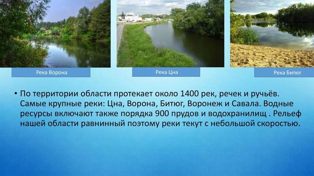 Почему протекает река. Река ворона Тамбовской области. Описание реки Битюг. Река Битюг Воронежской области описание. Водные богатства реки Воронеж.