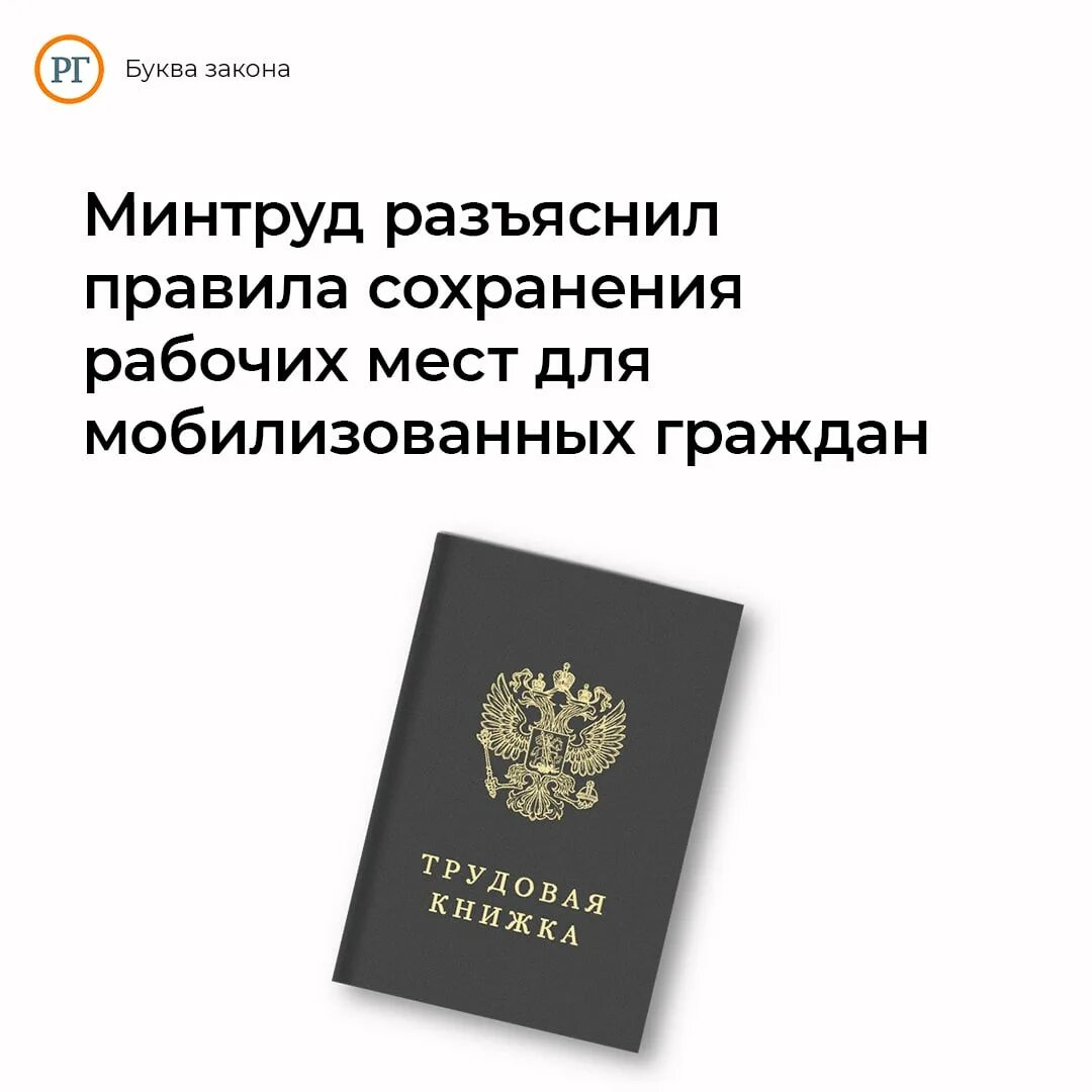 Минтруд разъяснил. Гражданин. Разъяснения по призыву. Заявление о приостановки трудового договора по мобилизации. Разъяснение указа о многодетных