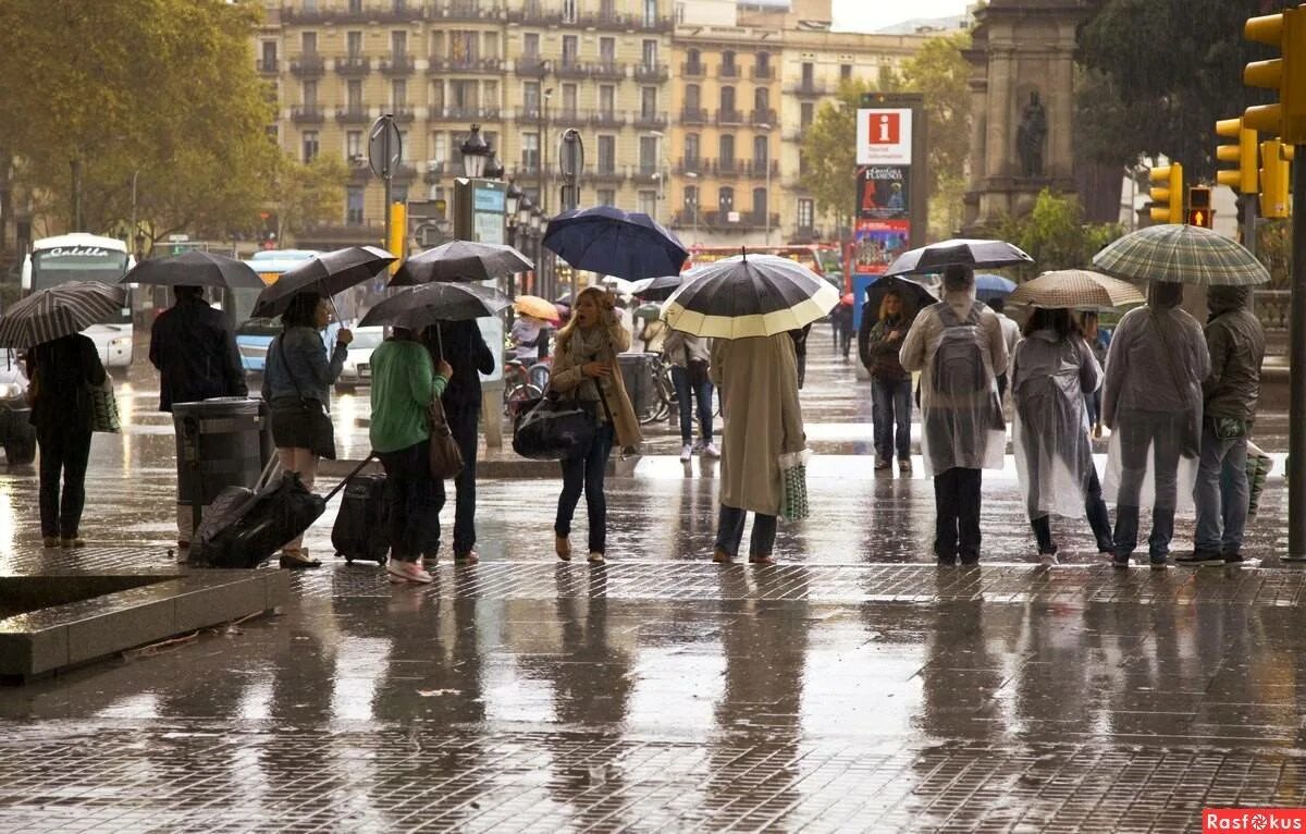 Люди под дождем в городе. Дождь в городе. Толпа людей с зонтами. Ливень в городе. Дождь без перерыва