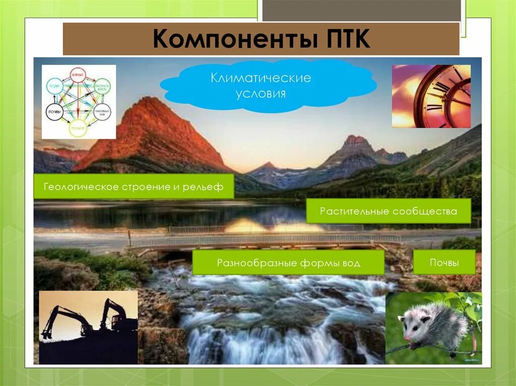 Птк россии 8. Природный территориальный комплекс. Природаттерриториальный комплекс. Природных географических компонентов. Компоненты природно территориального комплекса.