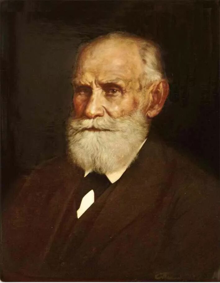 П н ар. Павлов и.п. (1849-1936).