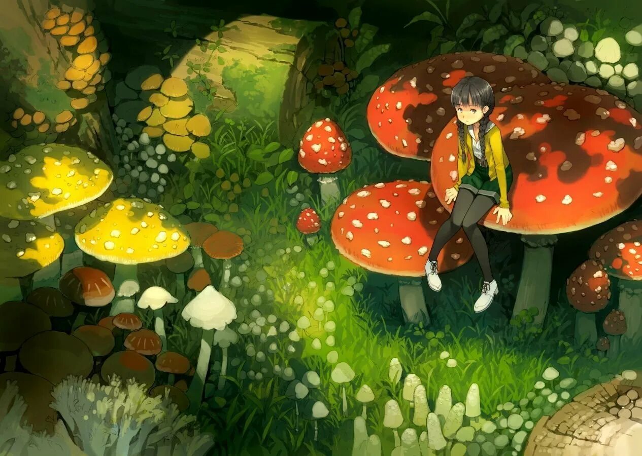 Legend of mushroom лучший класс