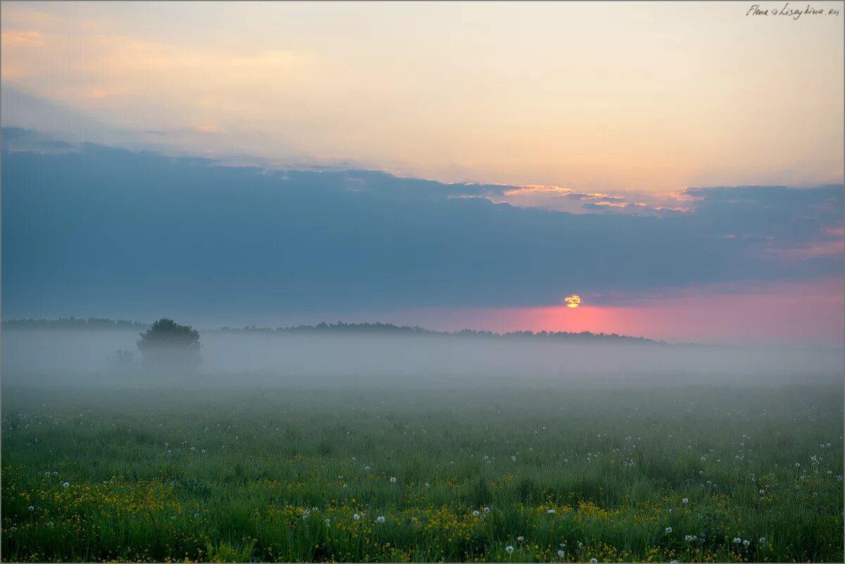 Низинах расстилается туман. Ранний рассвет в поле. Раннее утро небо. Утреннее небо. Туман над лугом.