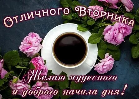 Чудесного вторника