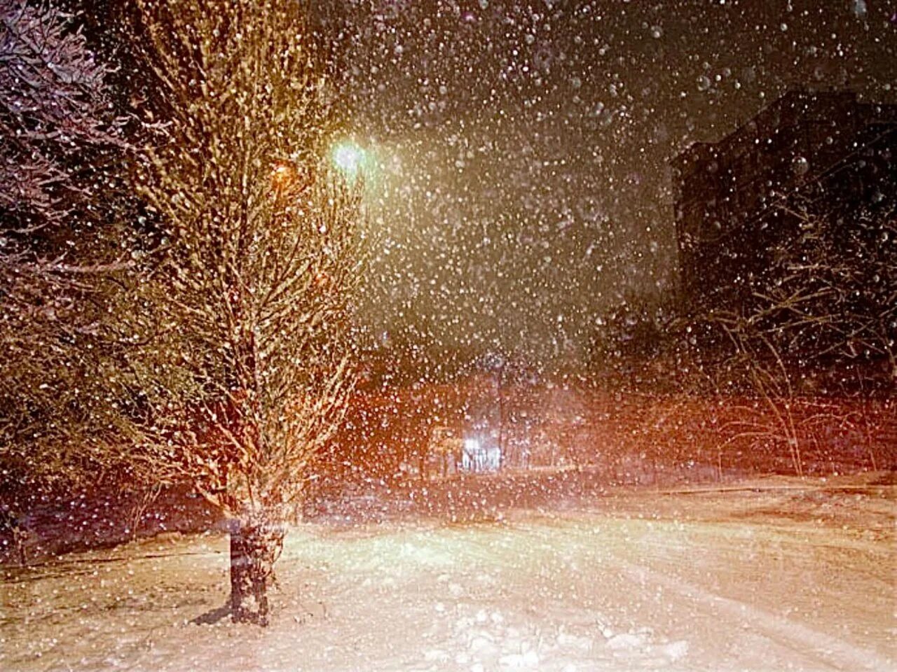 Снежок на дорогу падает. Снегопад. Метель. Метель вечером. Зимняя метель.