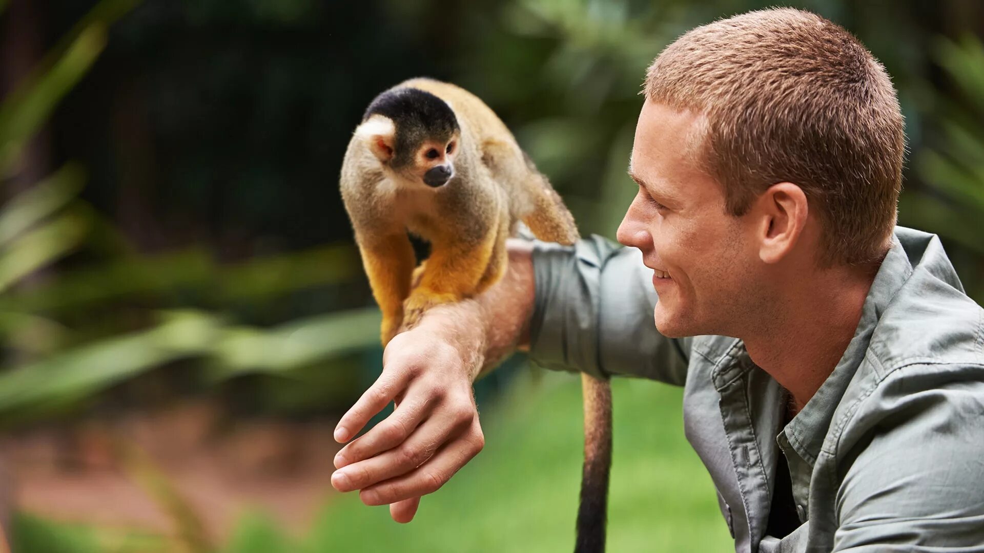 люди разговаривающие с животными. горилла с кокосом. фото кошек и собак. люди разговаривающие с животными. люди разговаривающие с животными.