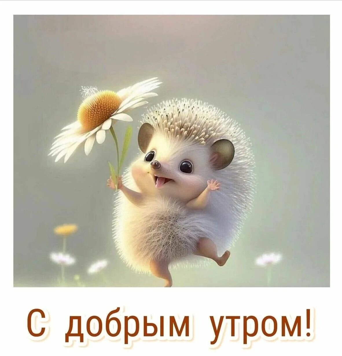 Картинки доброе утро позитив настроение. Картинки доброе утро позитив настроение