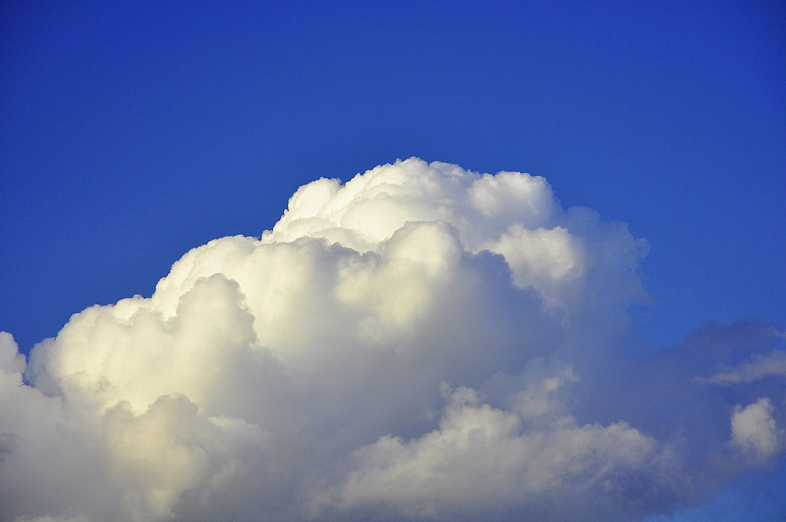 Как выглядит облако. Облака. Кучевые облака. Кучевые средние облака. Облако картинка.