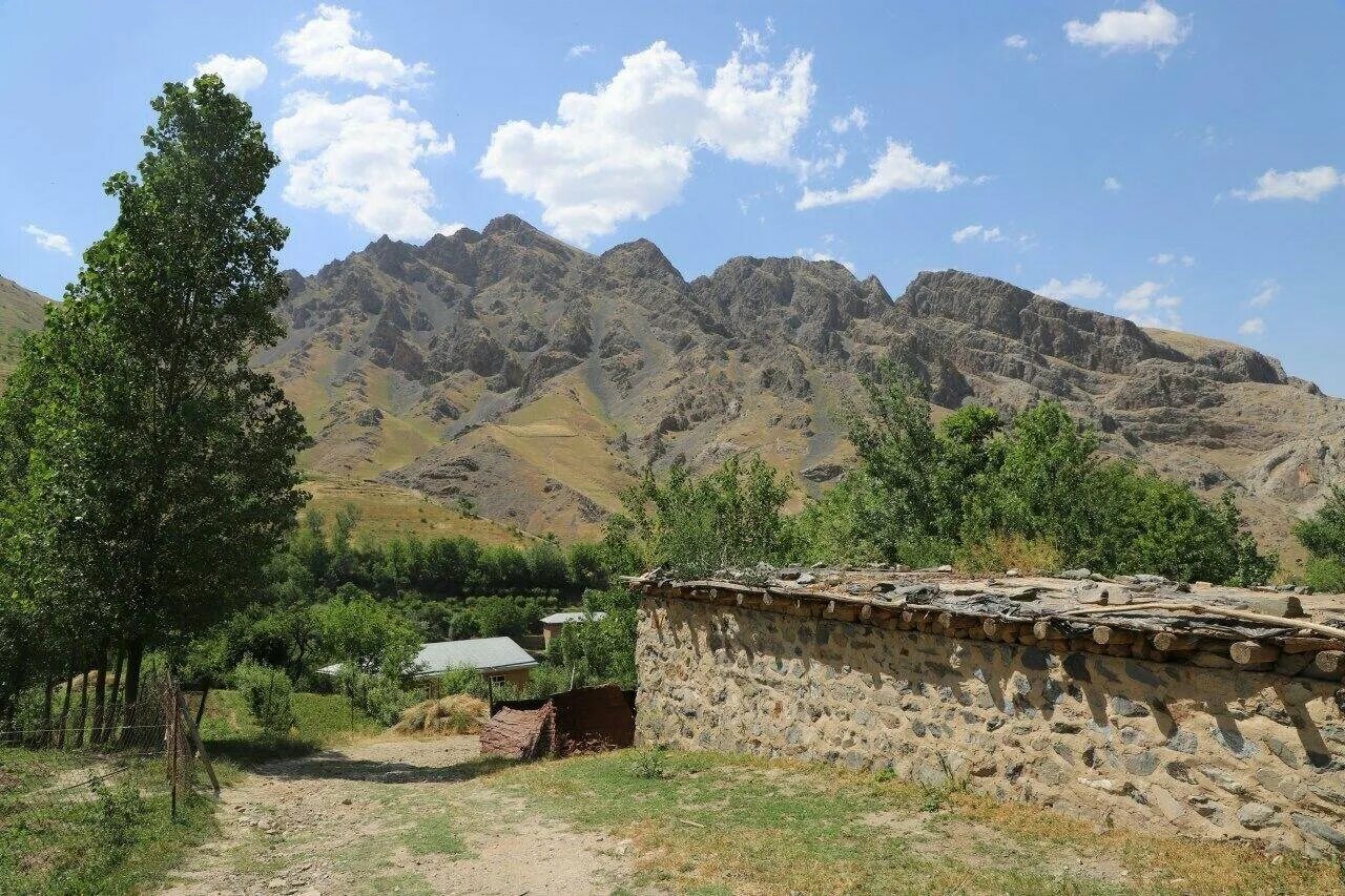 Узбекистан самарканд ургут гус. Ургутский сюзане. Самарканд ургут. Самарканд район ургут туман. Горы ургут самарканд.