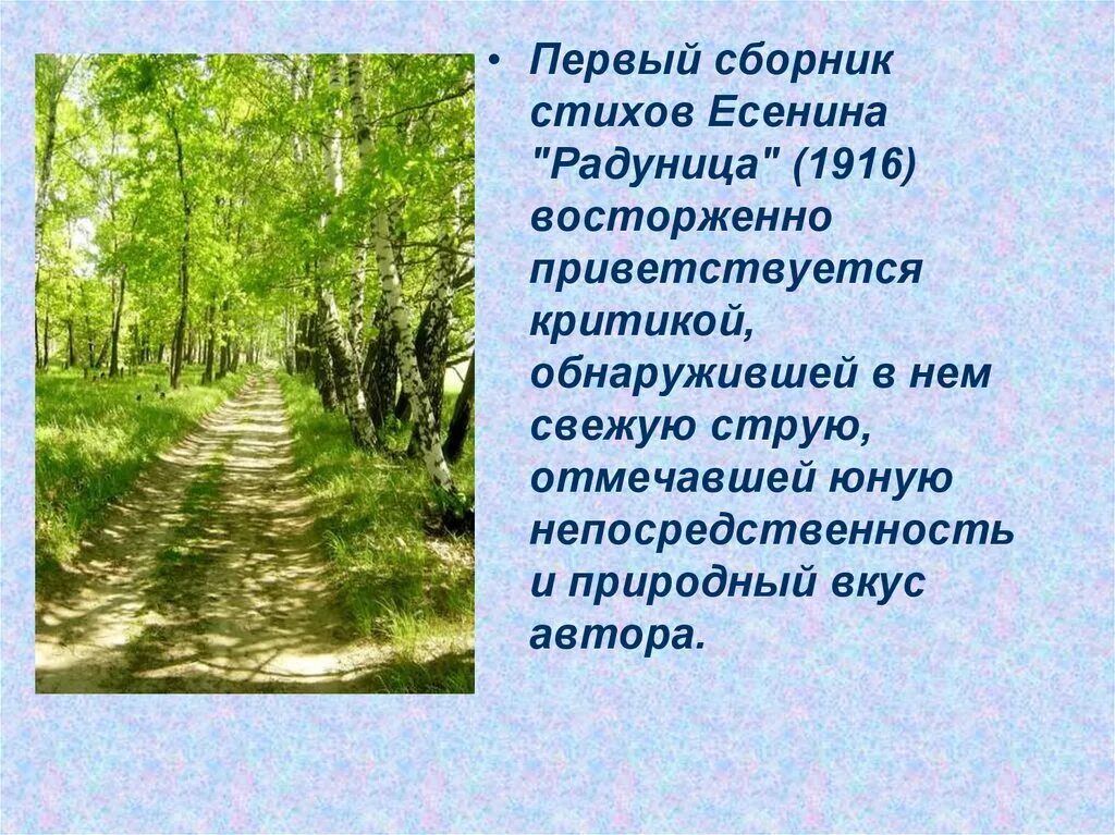 В мелколесье юные деревца всех пород. Стихи Есенина. Сборник стихов Есенина. Первый сборник стихов Есенина. Первый сборник стихов "Радуница"..