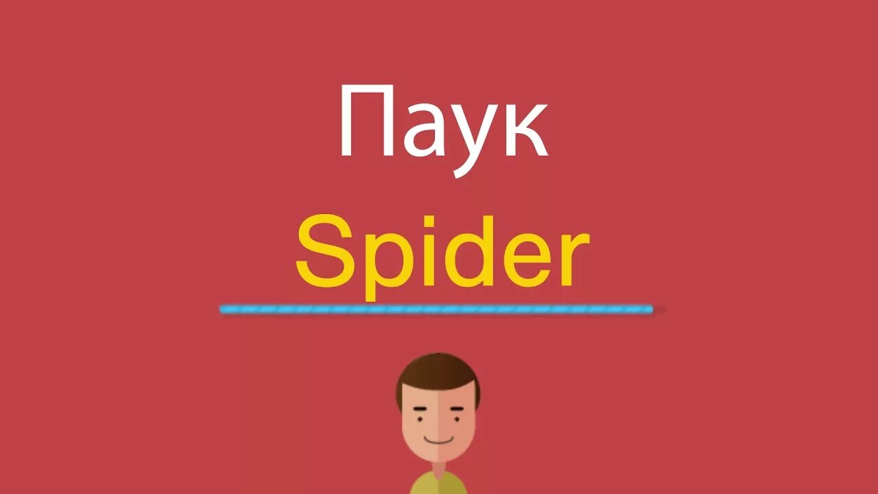 Как по английски будет паук. Паук по англ. Spider по английски. Транскрипция слова паук на английском. Spider английское слово.