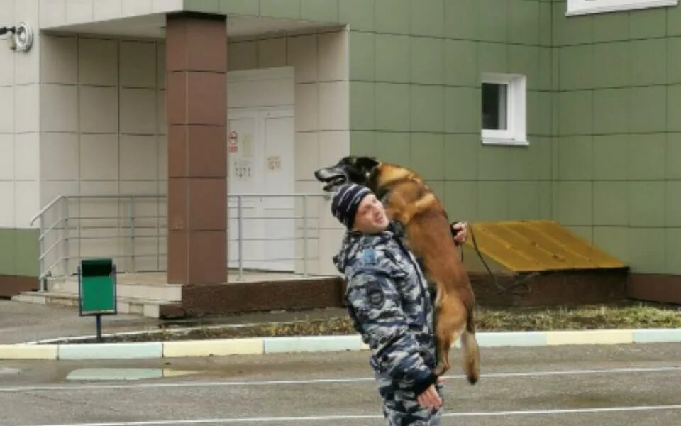 Кинолог рязань колледж. Кинолог омск. Кинолог рязань колледж. Кинолог рязань колледж. Кинолог в рязани колледж.