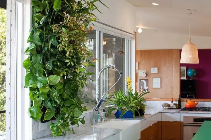How to Decorate With Large Indoor Plants Kitchen decor modern, Large indoor plan