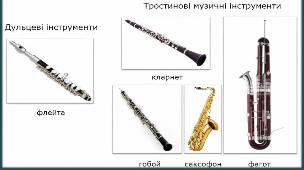 Каким инструментам относится кларнет. Фагот и гобой отличия. Деревянные духовые инструменты флейта кларнет гобой Фагот. Кларнет и гобой отличия. Фагот и кларнет отличия.