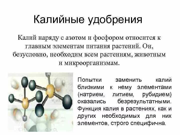 Чем отличается калий. Калийные удобрения в природе. Калийные удобрения это какие. Характеристика калийных удобрений. Калийные Минеральные удобрения названия.