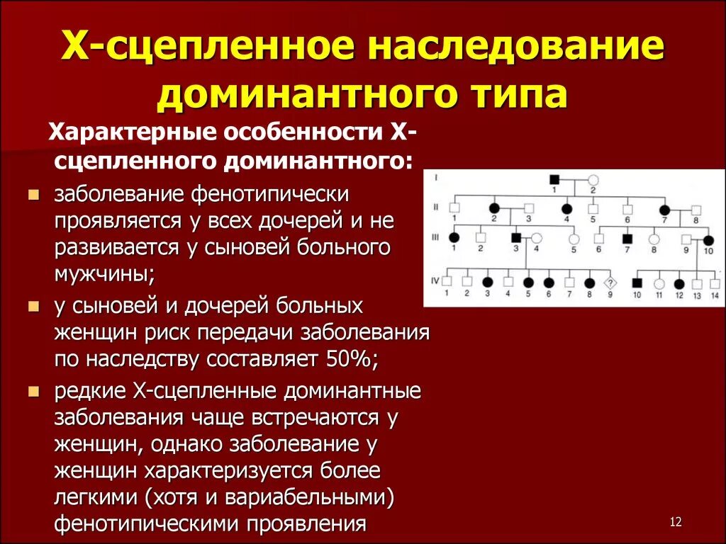 Х сцепленный доминантный Тип. Сцепленное доминантное наследование. Х сцепленный доминантный Тип наследования. У сцепленный рецессивный Тип наследования.