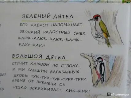 Стуча составить предложение