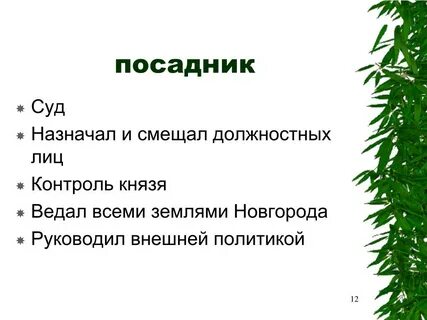 Обязанности посадника