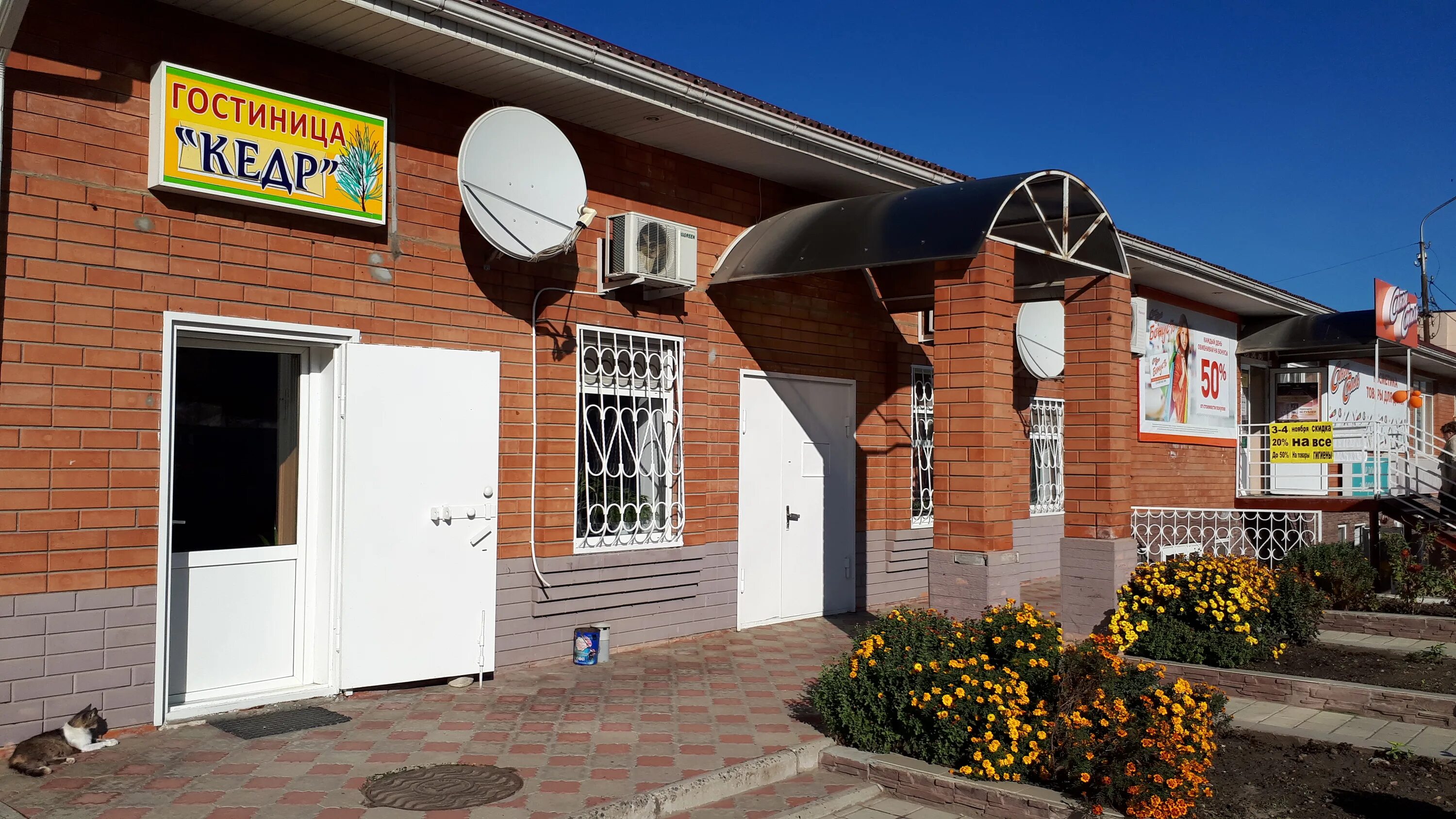 Кедр изобильный гостиница. Магазин огородник изобильный ул доватора 110а. Изобильный доватора. Наружная реклама для шинного центра. Изобильный доватора.