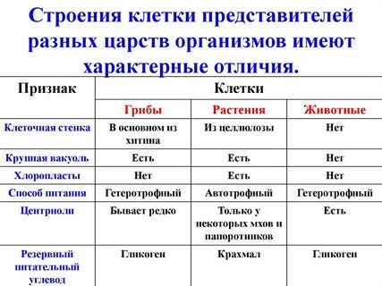 Общий признак бактерий и животных 5 класс