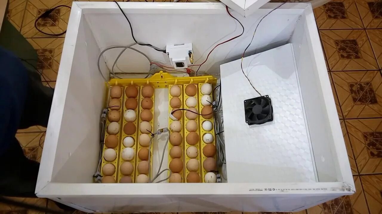 Инкубатор автоматический как пользоваться. Инкубатор на esp8266. Инкубатор автоматический WG 24. Инкубатор автоматический дип 50ж. ТГБ 280 инкубатор блок автоматики.