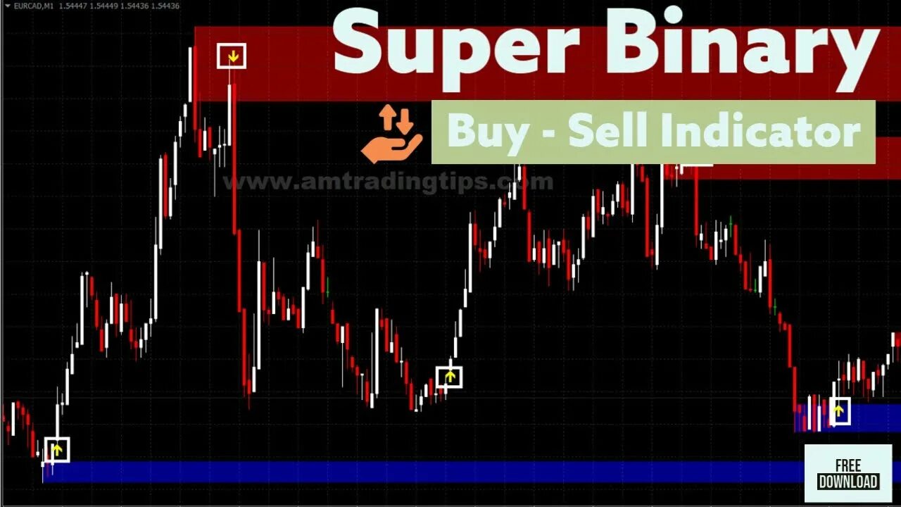 King binary indicator