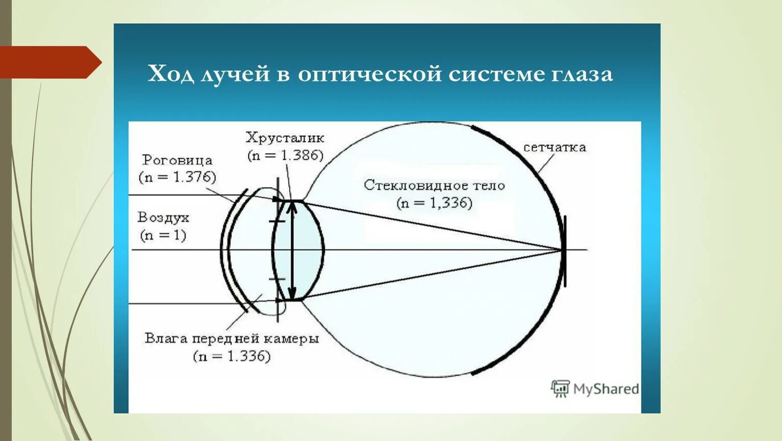 Схема оптической системы глаза. Оптическая система ноаща. Ход лучей в оптической системе глаза. Упрощенная оптическая схема глаза. Прохождение луча света в глазном