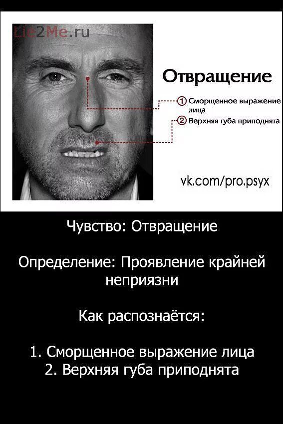 Испытывать неприязнь к человеку
