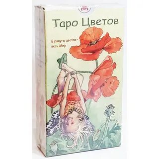 Таро растение