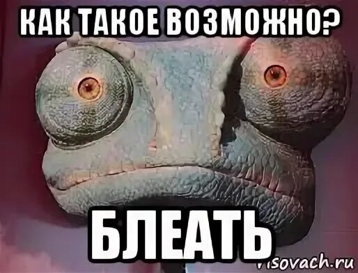 О том что такое возможно. О том что такое возможно