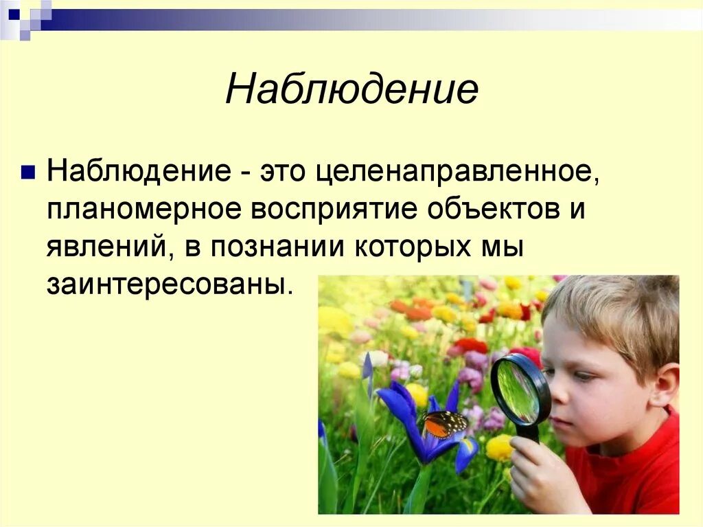 Наблюдение восприятие. Планомерное восприятие это. Наблюдение целенаправленный и планомерный. Целенаправленное наблюдение. Что открывает мир наблюдательность человеку