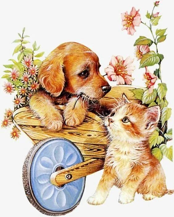 Cane e gatto 1/8 Animal drawings, Cat drawing, Dog cat