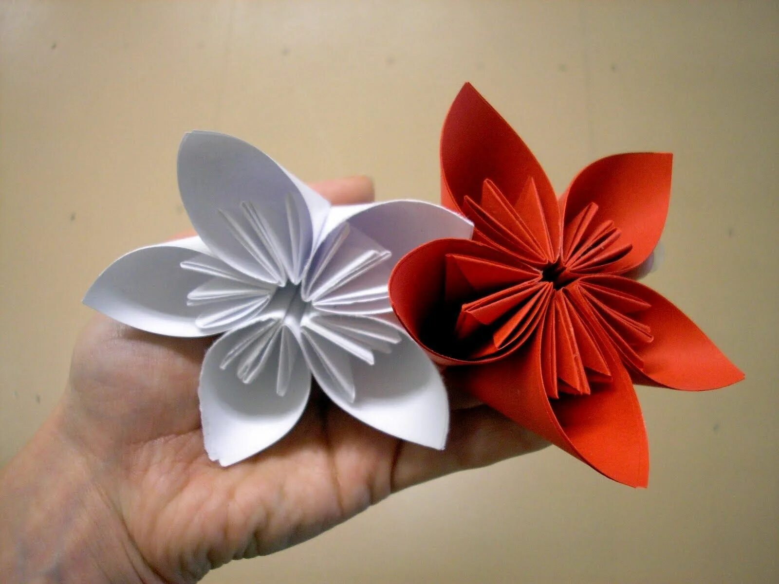 Цветы из бумаги. Объемные цветы. Объемные цветочки из бумаги. Оригами цветок. Цветок памяти крокус оригами
