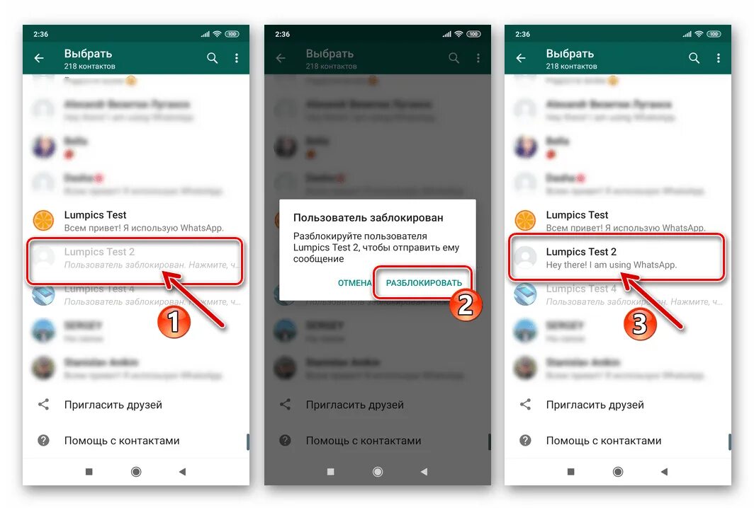 Как убрать номер в ватсапе. Как разблокировать контакт в вот. Как разблокировать контакт в ватсапе на андроиде. Как разблокировать контакт в ватсапе. Как разблокировать номер в ватсапе.