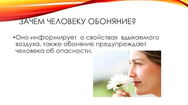 Составить предложение со словом обоняние. Обоняние. зачем человеку обоняние. интересные факты про обоняние человека.