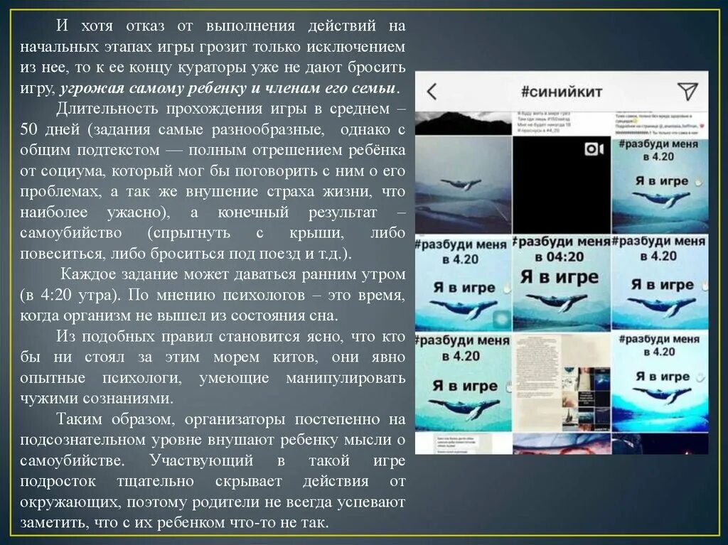 Что означает буди. Синий кит игра задания. Описание игры синий кит.