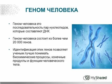 Ген 0