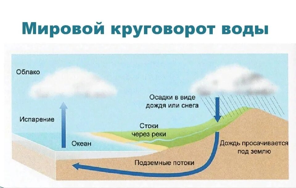 Земля набухла от дождевой влаги