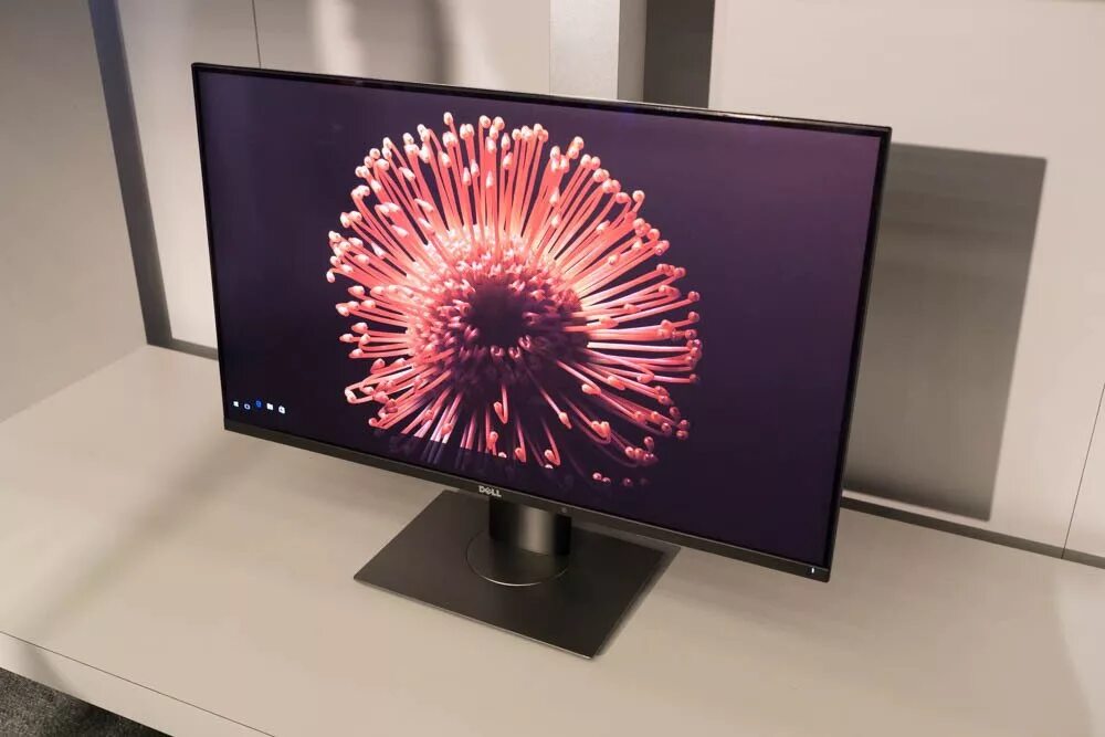 Tn oled. Монитор oled 2k. dell oled-мониторы 24. lg oled monitor. oled monitor 25ч25.