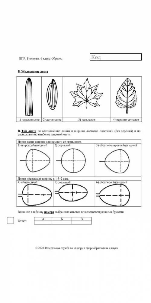 Форма листа ВПР по биологии 6. ВПР биология 5 класс форма листа. ВПР 6 класс биология задания. Процессы из ВПР 6 класс биология. Решу впр по биологии 5 класс 3